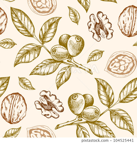 Vintage hand drawn seamless pattern with walnut. Vintage hand drawn seamless pattern with walnut. 104525441