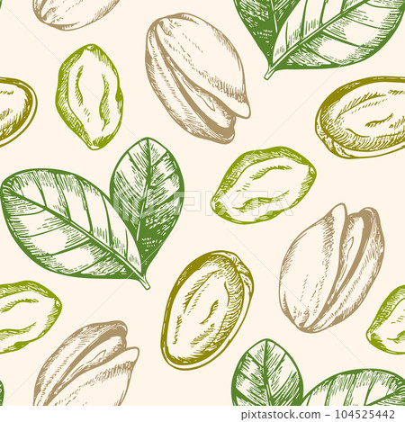 Vintage hand drawn seamless pattern with pistachio. Vintage hand drawn seamless pattern with pistachio. 104525442