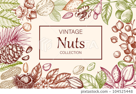 Vintage horizontal background with various nuts. Vintage horizontal background with various nuts. 104525448