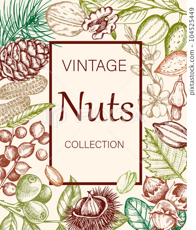 Vintage background with various nuts. Vintage background with various nuts. 104525449