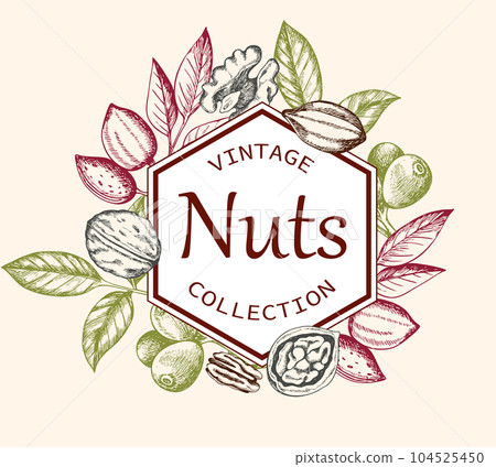 Vintage background with various nuts. 104525450