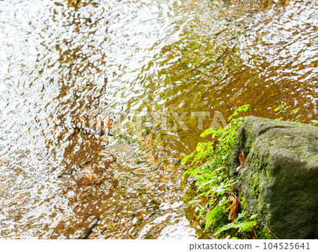 57 famous spring waters in Tokyo 104525641