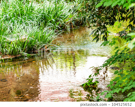 57 famous spring waters in Tokyo 57 famous spring waters in Tokyo 104525652