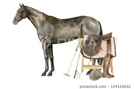 Watercolor illustration of a standing English Thoroughbred bay horse. Isolated. Equestrian equipment saddle, saddle pad, brown leather boots, helmet, horse polo sticks 104526682