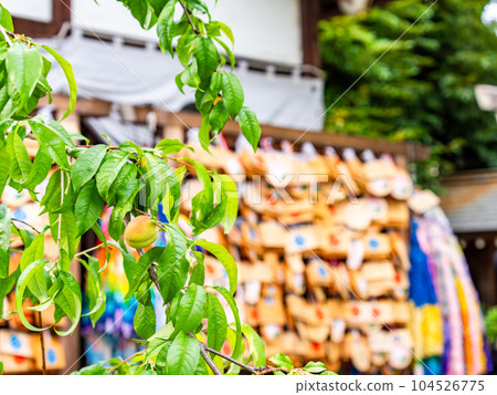 A place of prayer with auspicious peach A place of prayer with auspicious peach 104526775