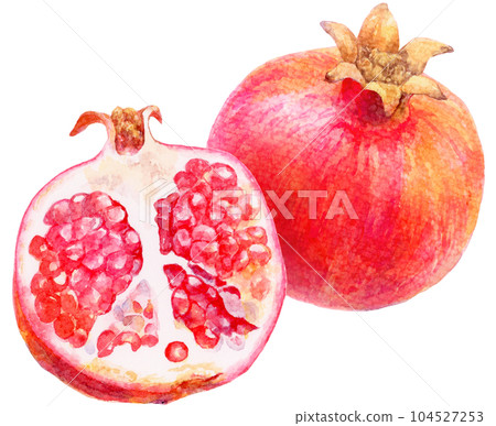 Illustration of two pomegranates painted in watercolor, the whole fruit and the fruit with the flesh visible 104527253