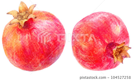 Pomegranate illustration drawn in watercolor Whole fruit Pomegranate illustration drawn in watercolor Whole fruit 104527258