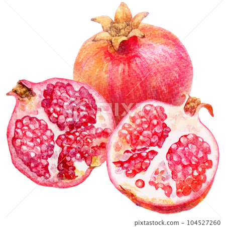 石榴的水彩插圖 切成兩半的石榴和整個水果 大量的果肉 104527260