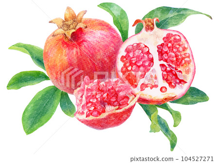 Illustration of a pomegranate fruit and a lot of pulp drawn with watercolor Leaves in the background 104527271