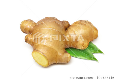 Ginger illustration real set 104527516