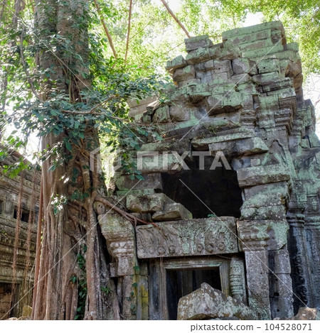 An image that depicts a decaying Khmer stone building from the medieval period, set against a backdrop of a lush Cambodian forest. 104528071
