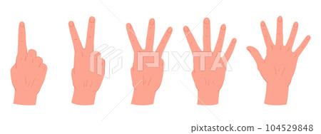 Counting hands gestures. Cartoon hand palms with count from one to five gestures. Human hands with countdown gestures flat vector illustration set Counting hands gestures. Cartoon hand palms with count from one to five gestures. Human hands with countdown gestures flat vector illustration set 104529848