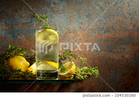 Gin and Tonic with ice, lemon, and juniper branches. Gin and Tonic with ice, lemon, and juniper branches. 104530160
