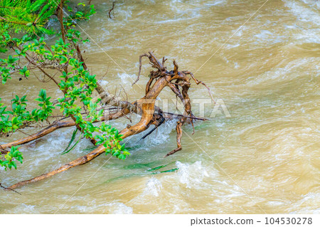 [Natural disaster] Muddy stream, river after heavy rain [Nagano] 104530278