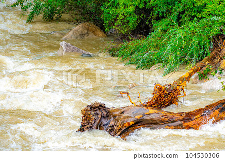 [Natural disaster] Muddy stream, river after heavy rain [Nagano] 104530306