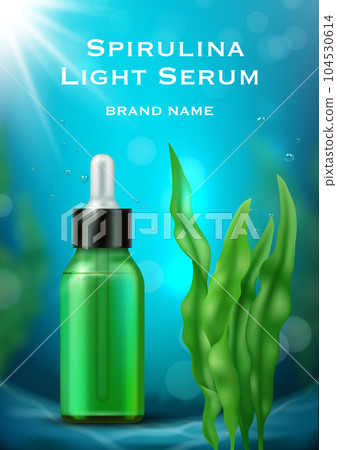 Seaweed poster. Spirulina realistic picture for ads placard with place for text decent vector template for prints design projects 104530614