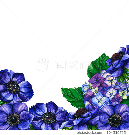 Hand drawn watercolor border flowers violet anemone and hydrangea on white background. Spring floral botanical illustration isolated for wedding invitation, birthday and mothers day cards Hand drawn watercolor border flowers violet anemone and hydrangea on white background. Spring floral botanical illustration isolated for wedding invitation, birthday and mothers day cards 104530735