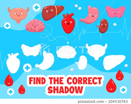Find the correct shadow of cartoon body organ characters. Shadow match puzzle, similarity search game vector worksheet with uterus, brain, liver, heart and stomach, kidney, thyroid cute personages 104530763