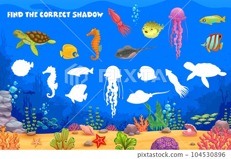 Find correct shadow of cartoon sea underwater animals and fish, vector puzzle quiz for kids. Shadow match game worksheet with undersea silhouette of turtle, jellyfish and seahorse with squid and fish Find correct shadow of cartoon sea underwater animals and fish, vector puzzle quiz for kids. Shadow match game worksheet with undersea silhouette of turtle, jellyfish and seahorse with squid and fish 104530896