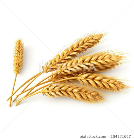 Wheat easrs isolated. Illustration AI Generative Wheat easrs isolated. Illustration AI Generative 104531697