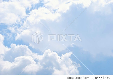 Thunbergye 104531850