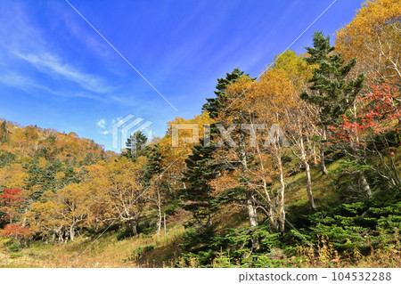 Mountain trail in autumn Shirane mountain 104532288