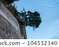 Shodoshima/Shodoshima Town, Kagawa Prefecture 104532340