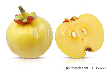 Garcinia atroviridis fruit isolated on white background 104532712
