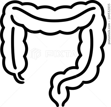 Colon intestine line icon Colon intestine line icon 104532835