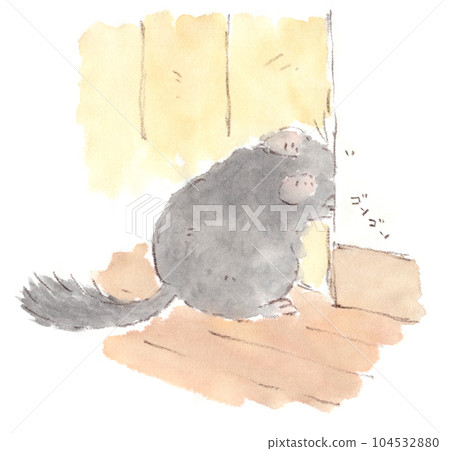 對龍貓的觀察：一隻龍貓在房間裡走來走去，試圖咬住走廊的隔板逃跑的後視圖 104532880