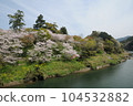 Cherry blossoms at Sakurabuchi Park (Shinshiro City, Aichi Prefecture) 104532882