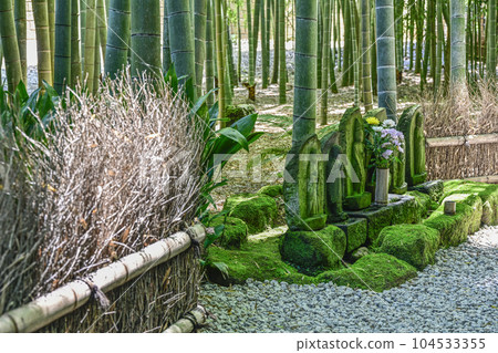 報國寺（鎌倉市）長滿青苔的石佛 104533355