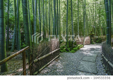 報國寺（鎌倉市）長滿青苔的石佛 104533356