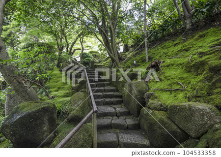 報國寺(鎌倉市)院內長滿青苔 報國寺(鎌倉市)院內長滿青苔 104533358