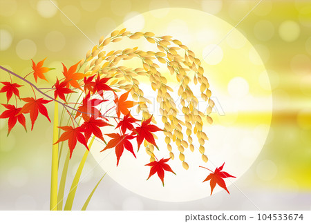 Rice moon viewing autumn scenery background 104533674