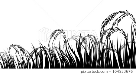 Rice rice plant autumn landscape background 104533676