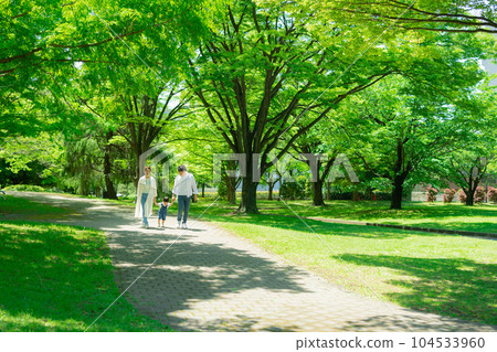 Fresh green family Fresh green family 104533960