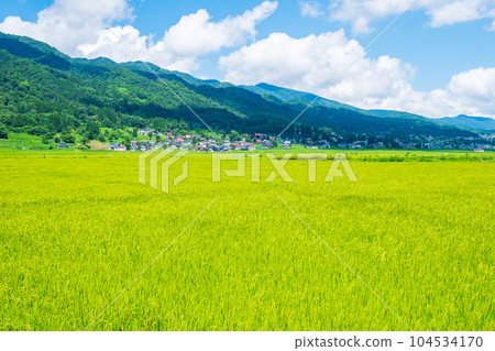 夏季鄉村景觀（8月） 104534170