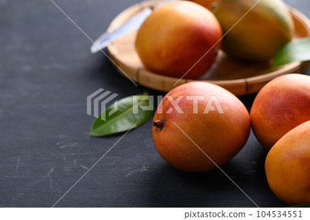 Mango fruit (Tommy Atkins) on black background, Tropical fruit 104534551