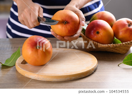 Mango fruit (Tommy Atkins) with woman hand prepare for cooking, Tropical fruit Mango fruit (Tommy Atkins) with woman hand prepare for cooking, Tropical fruit 104534555