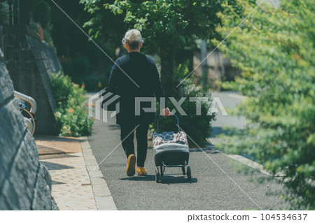 shopping, shoping, female 104534637