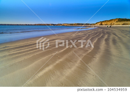千葉縣銚子市銚子濱海海灘的沙灘上隨風蕩漾 104534959