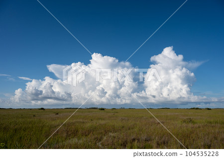 Bright white cumulus clouds over sawgrass prairie in Everglades National Park. 104535228