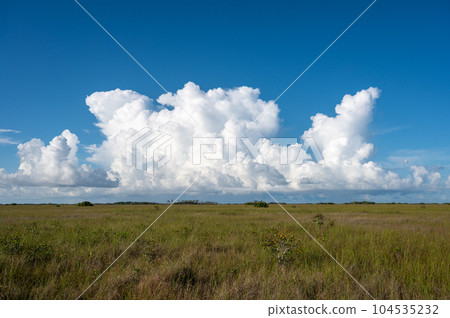 Bright white cumulus clouds over sawgrass prairie in Everglades National Park. 104535232