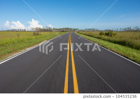 Everglades National Park road receding into distance under sunny summer sky. 104535236