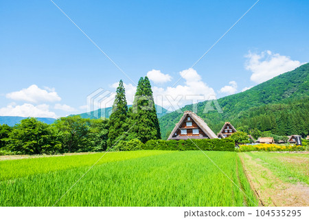 夏川白川鎮 104535295