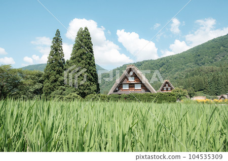 Summer Shirakawa Town Summer Shirakawa Town 104535309