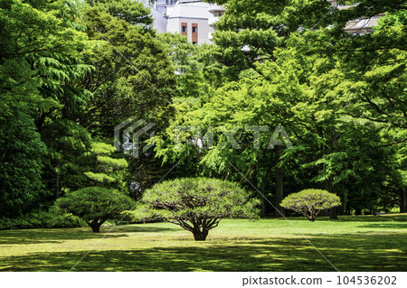 殿谷戶庭園(Tonogayato Garden),東京都的都立庭園 殿谷戶庭園(Tonogayato Garden),東京都的都立庭園 104536202