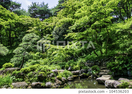 殿谷戶庭園(Tonogayato Garden),東京都的都立庭園 殿谷戶庭園(Tonogayato Garden),東京都的都立庭園 104536203