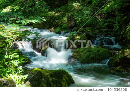 Scenery of a mountain stream surrounded by fresh greenery that shines through the sunlight filtering through the foliage 104536208